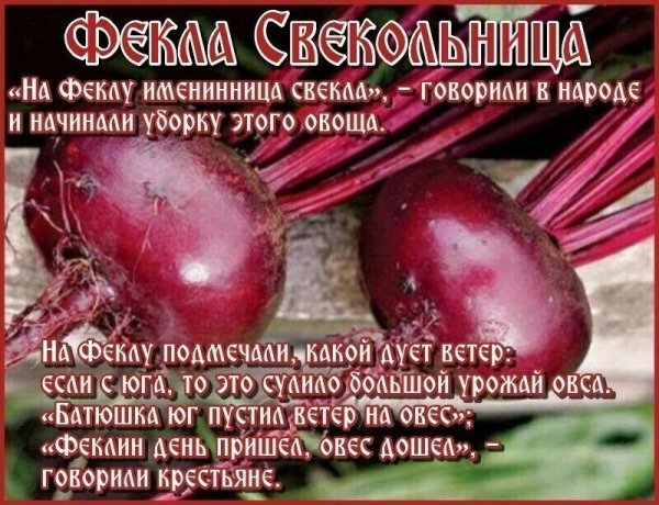 Фекла Свекольница славяне
