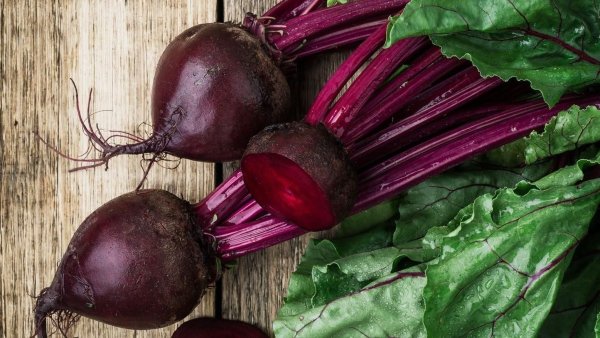 Фекла Свекольница