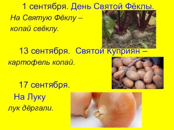 На Феклу копай свеклу