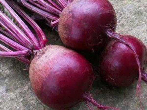 Свекла Фекла