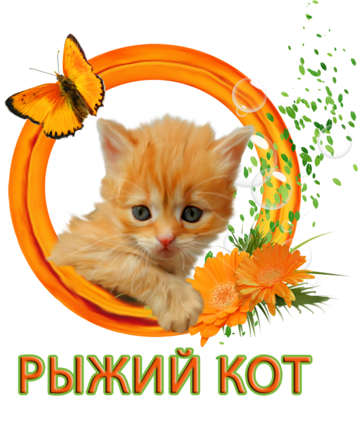 День рыжего кота