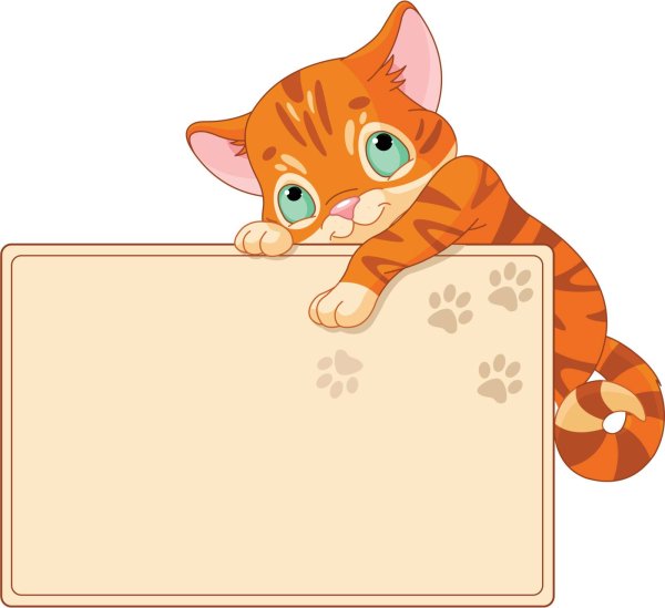 Кошка с табличкой