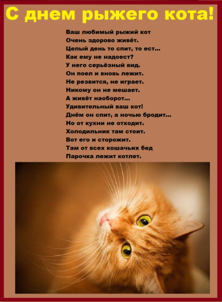 День рыжего кота