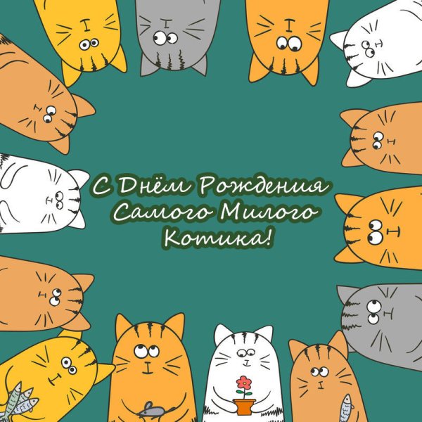С днем рождения много котиков