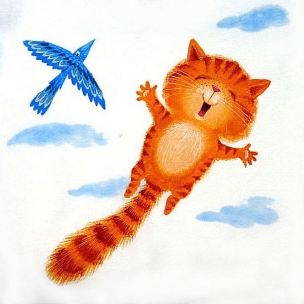 Рыжие летающие котики