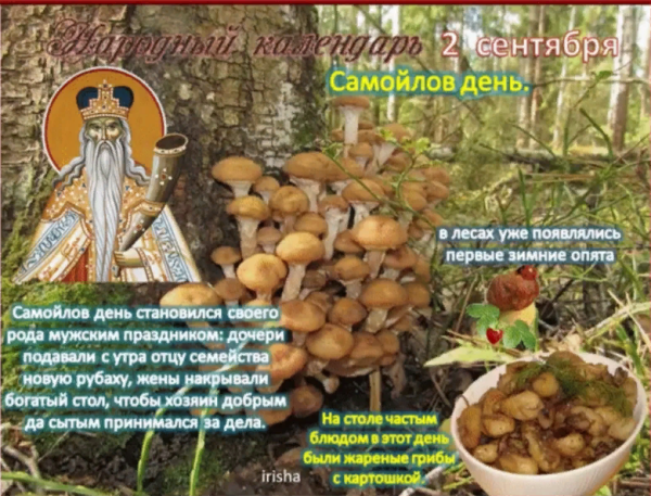 Самойлов день 2 сентября