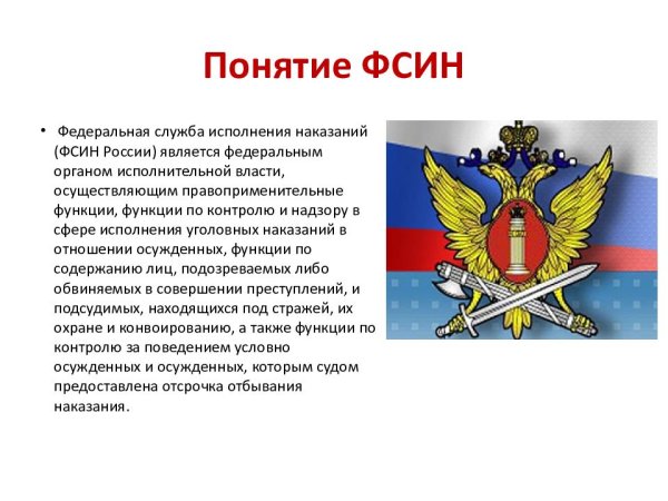 Федеральная служба исполнения наказаний (ФСИН России) функции