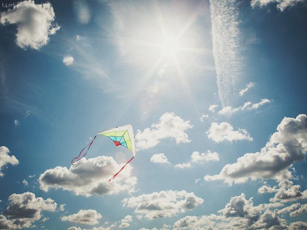 Ближе к небу