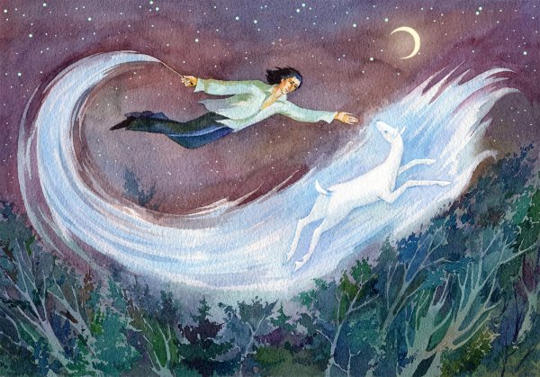 У ветра под крылом