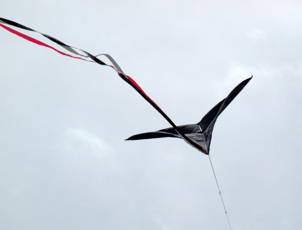 Воздушный змей Муха