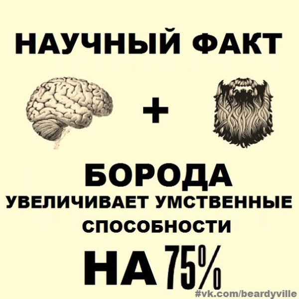 Цитаты про бороду