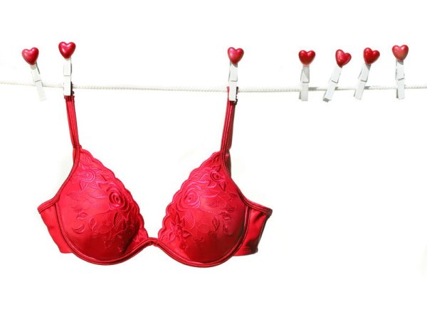 День бюстгальтера