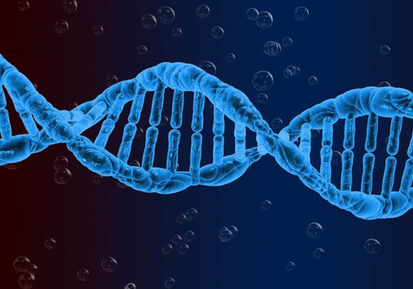 Генетическая патология у животных