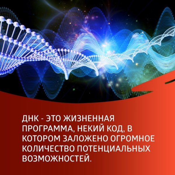 Активация ДНК