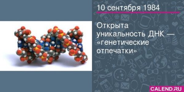 Уникальность ДНК