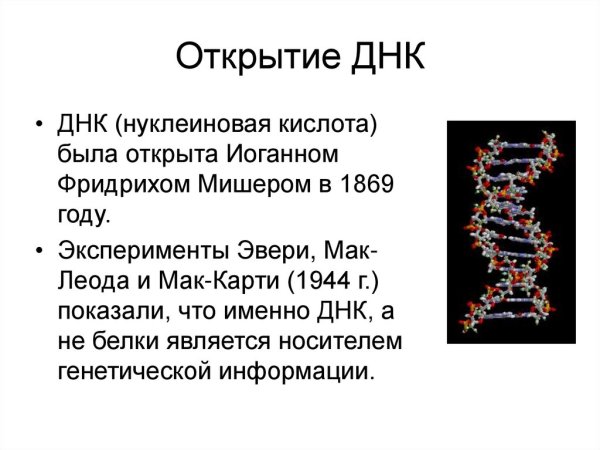 Открытие структуры молекулы ДНК