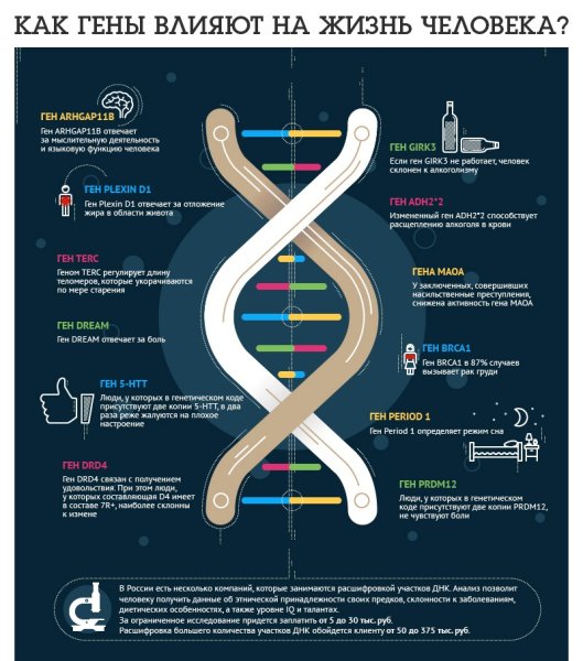 ДНК инфографика