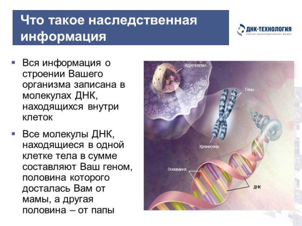 Ненаследственная информация