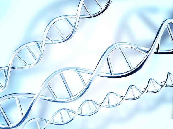 День открытия уникальности ДНК