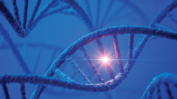 ДНК мистика