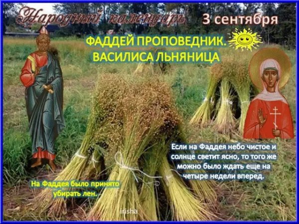 Василиса Льняница (Фаддей проповедник)