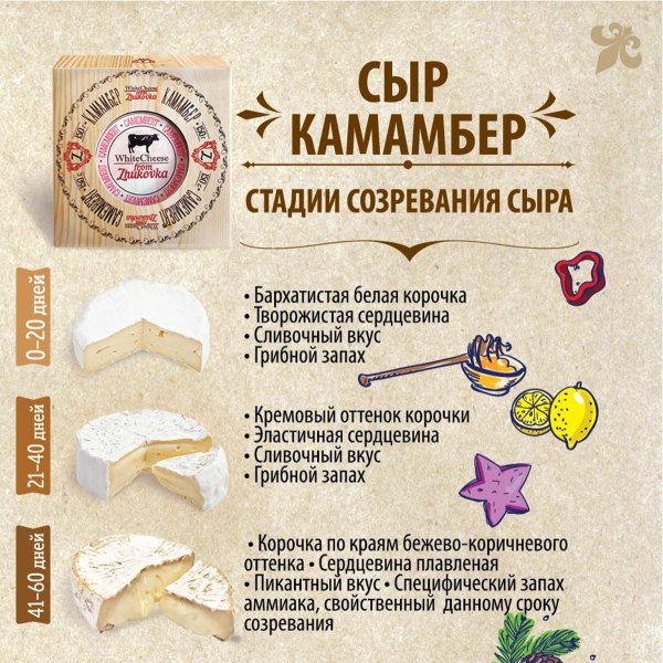 Камамбер созревание этапы