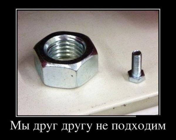 Смешные гайки