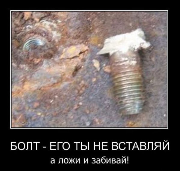 Болт и гайка прикол