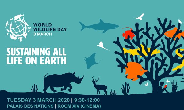 Всемирный день дикой природы (World Wildlife Day)