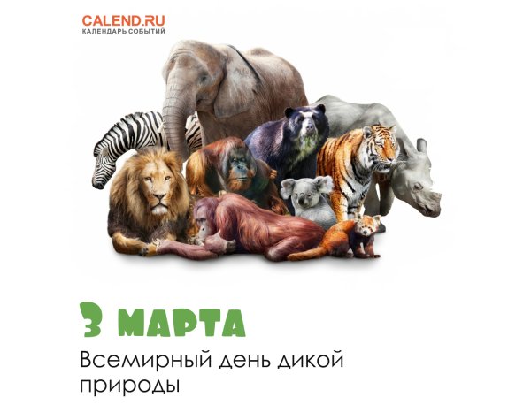 Заставка на 3 марта Всемирный день дикой природы