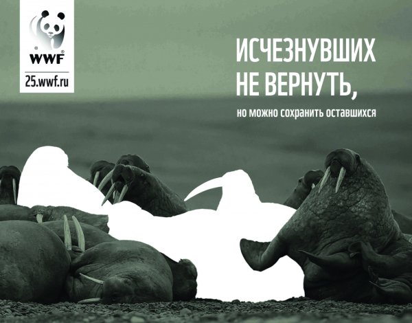 Всемирный фонд дикой природы WWF реклама