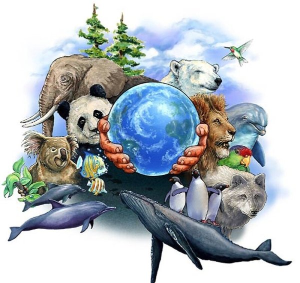 Животные земли