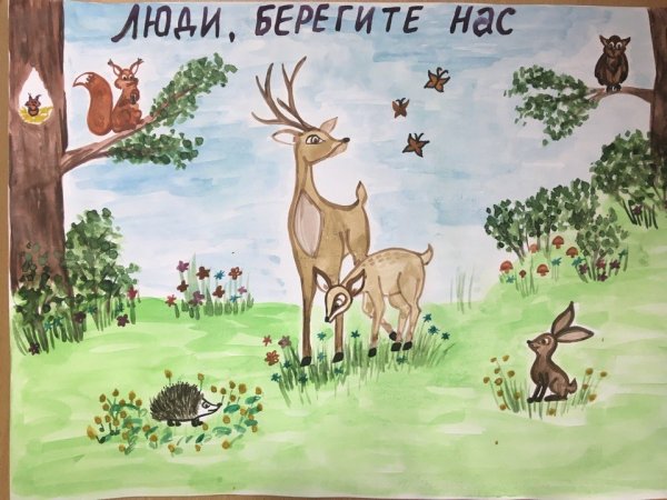 Плакат охрана животных