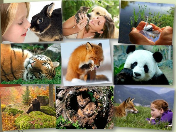 Всемирный день животных