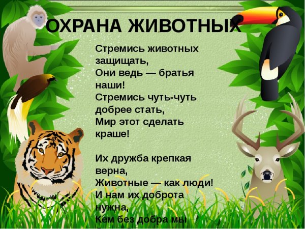 Стих про охрану животных