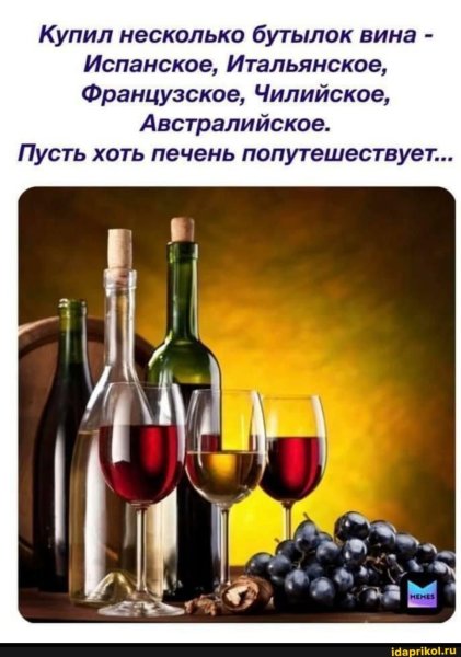 Несколько бутылок вина