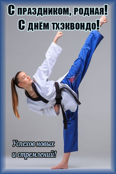 День тхэквондо