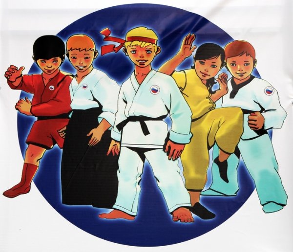 Тихвинская Федерация армейского рукопашного боя