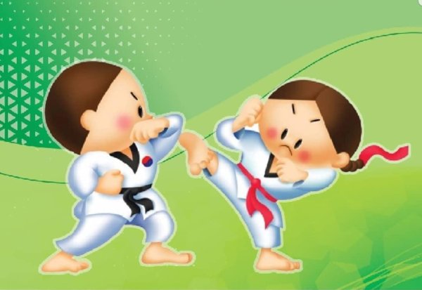 Союз развития боевых искусств Запад Восток