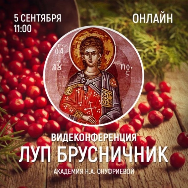 Луппа брусничник