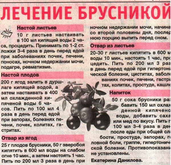 Ягоды при заболеваниях почек