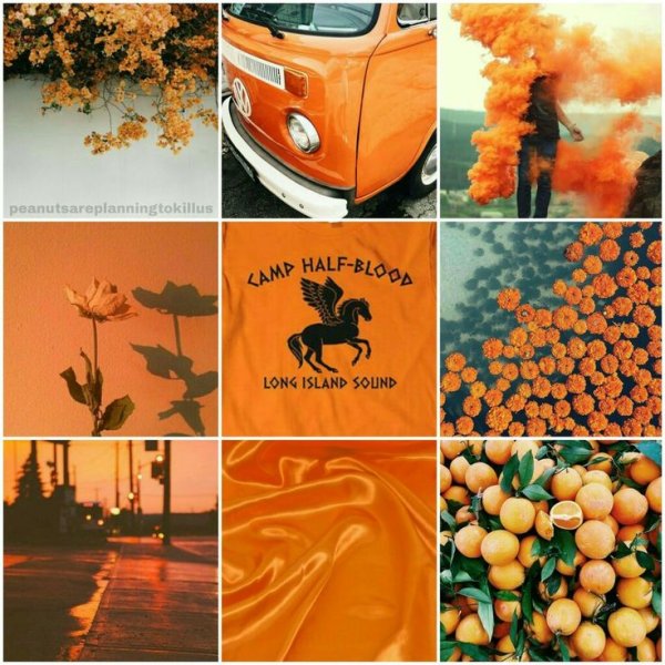 Эстетичные наклейки оранжевые