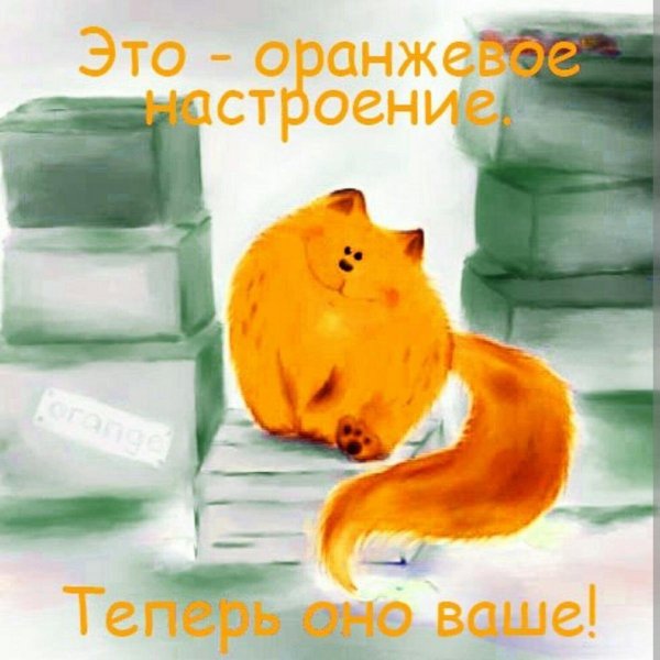 Доброе утро оранжевого настроения