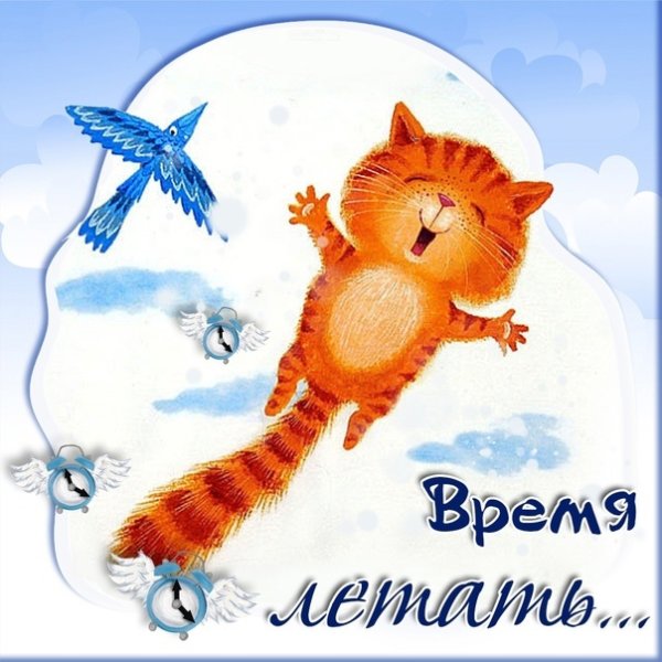 День полетов над землей