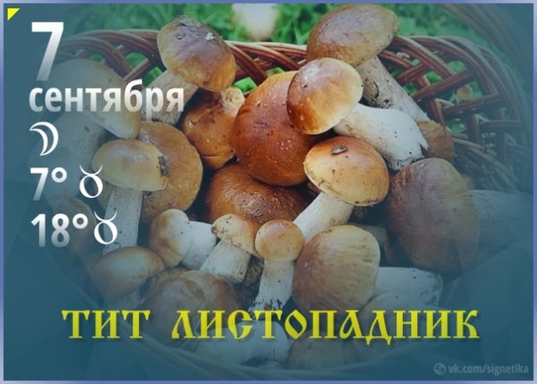 Тит Листопадник 7 сентября