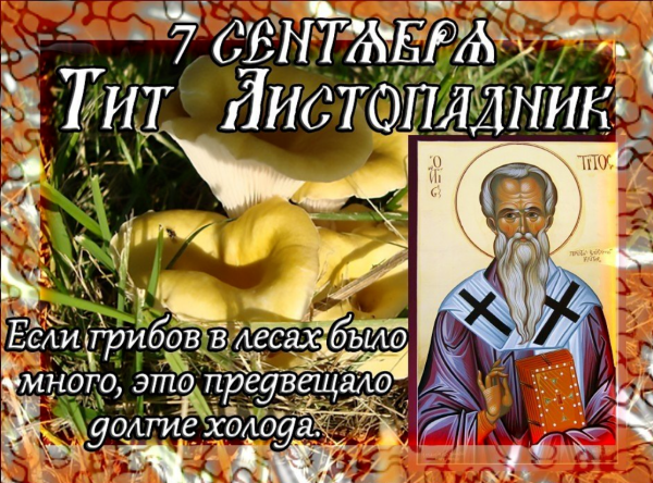 Народный календарь 7 сентября Тит Листопадник