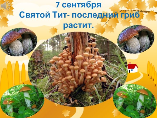 Тит Листопадник 7 сентября