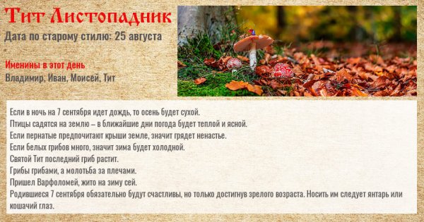 Тит Листопадник народный праздник