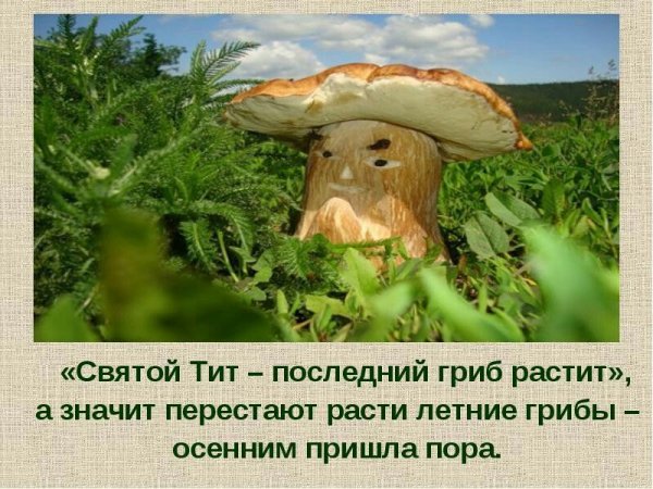 7 Сентября Тит-последний гриб растит