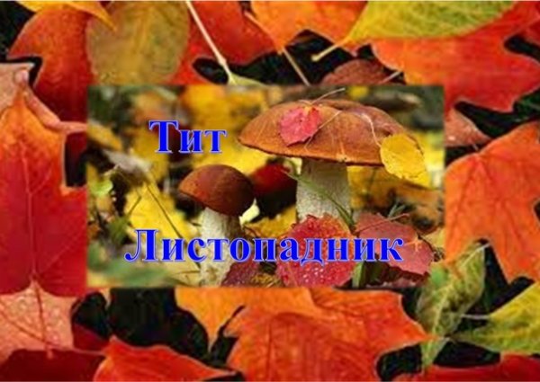 Тит Листопадник